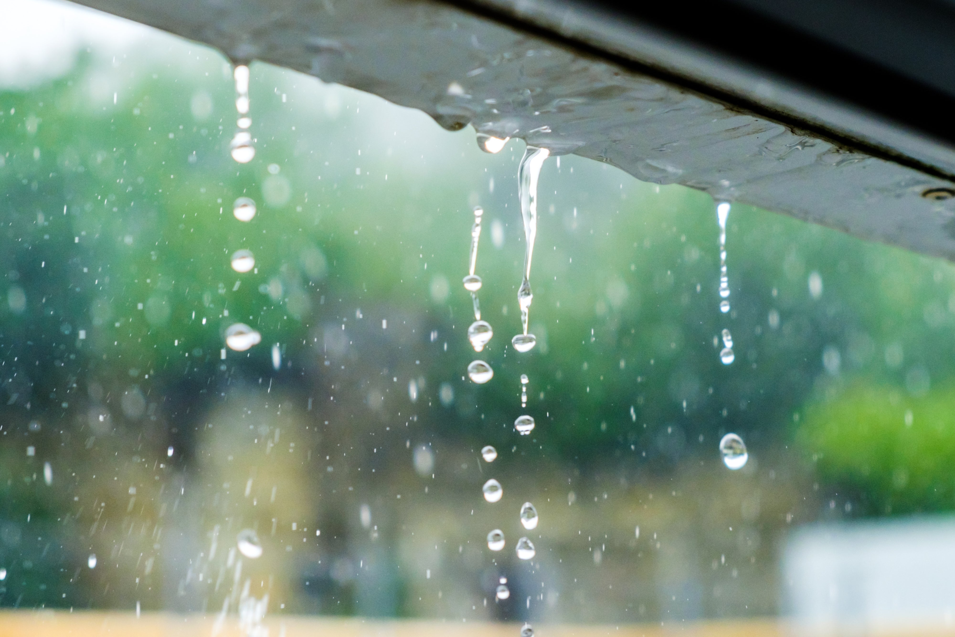 Comment Créer un Récupérateur d'Eau de Pluie ?