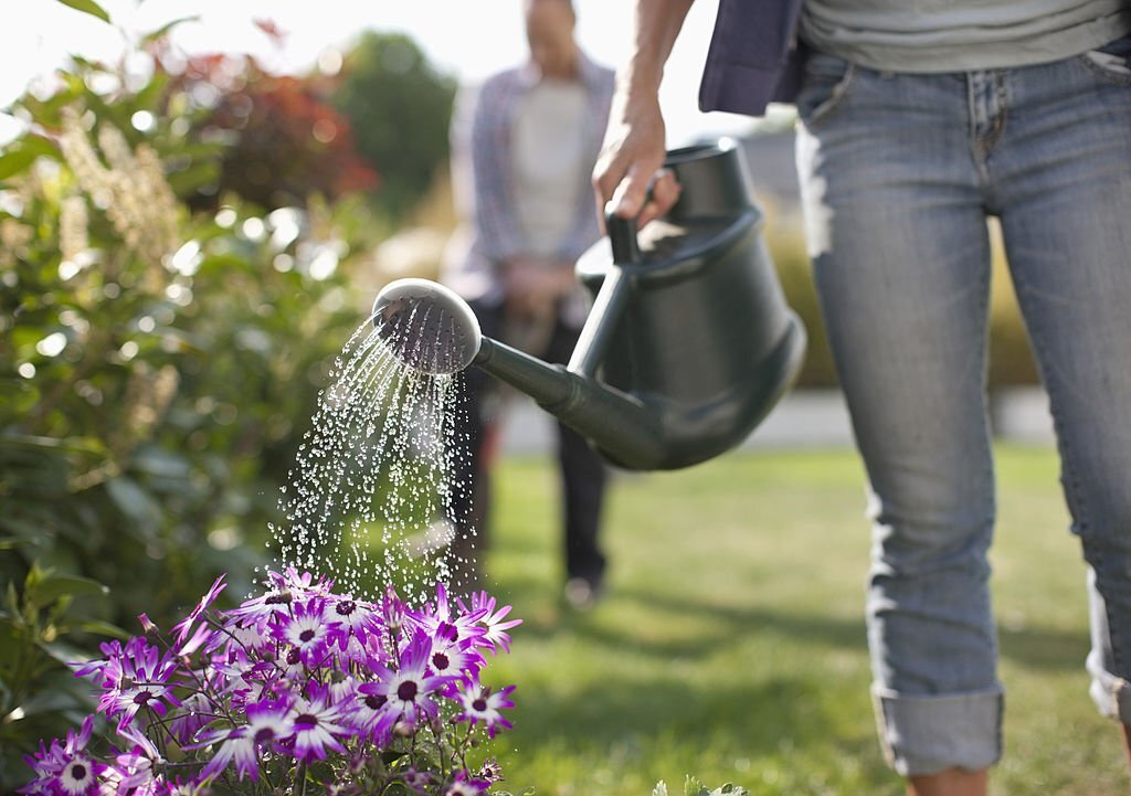 Top 5 des Astuces de Jardinage que l'Industrie de l'Eau Ne Veut Pas que Vous Connaissiez !