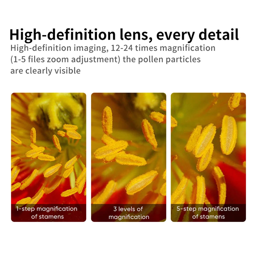 Microscope de Poche Numérique 800X HD