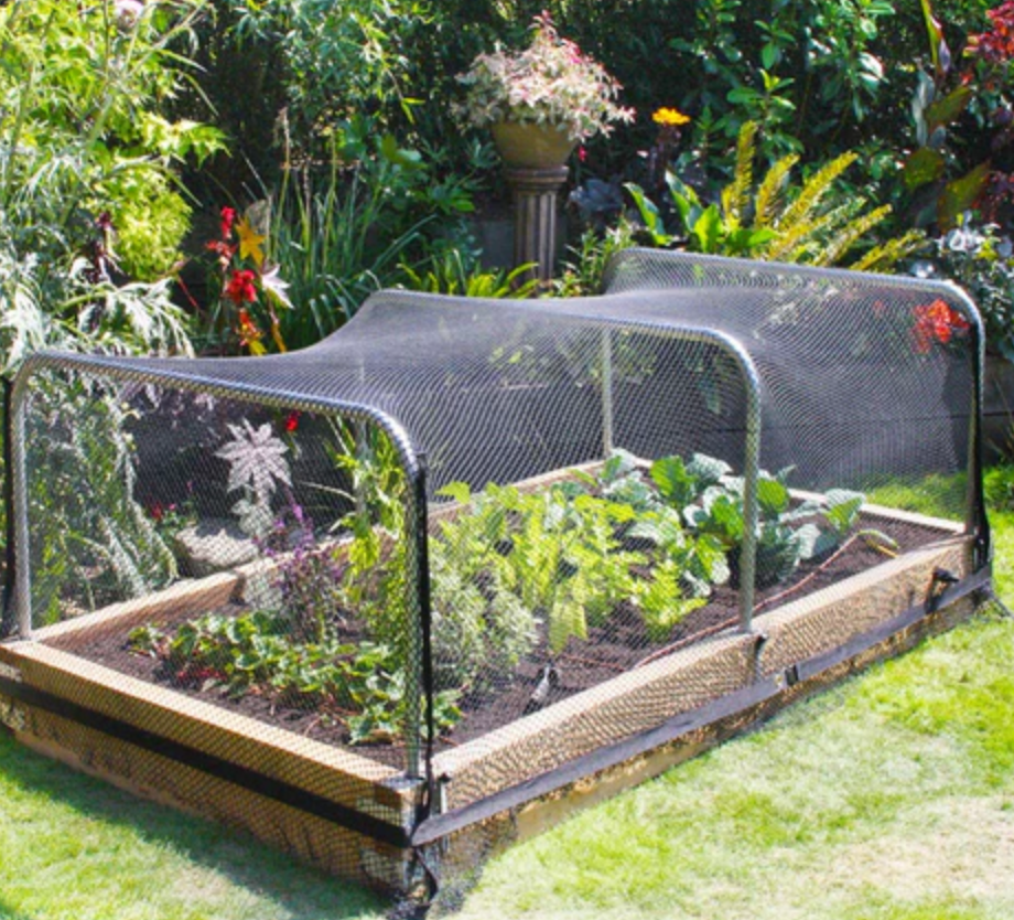 Filet de protection contre les oiseaux