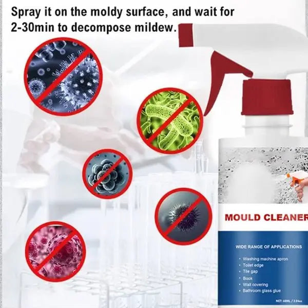 Spray Anti Moisissures