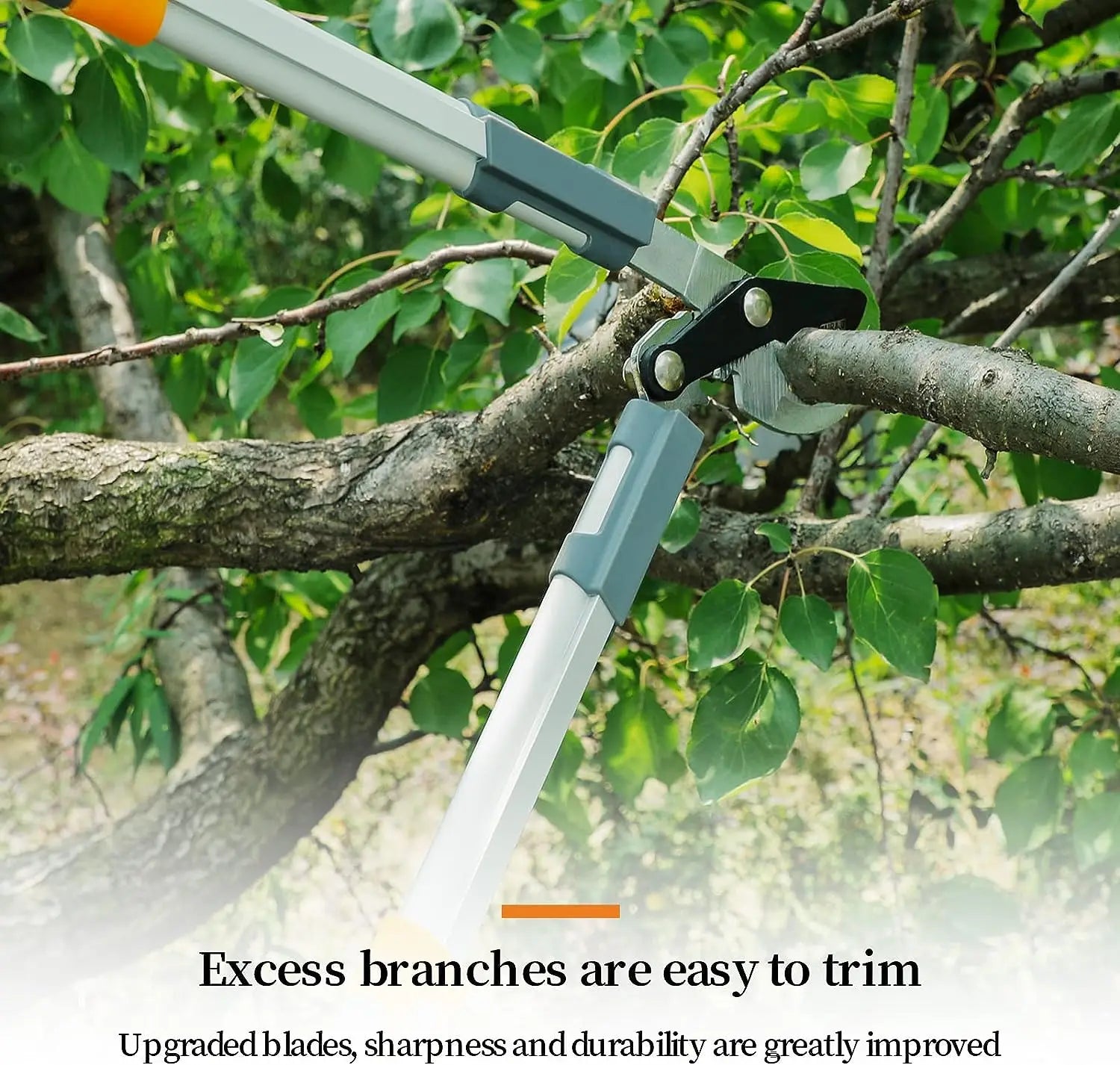Sécateur Bypass Pro – Lames Acier Ultra Tranchantes