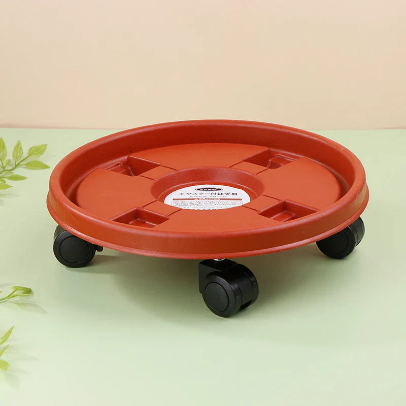 26cm