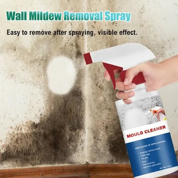 Spray Anti Moisissures