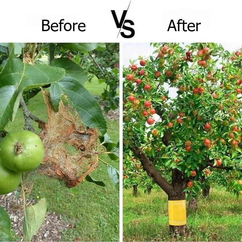 Ruban Anti-Insectes Auto-adhésif pour Arbres