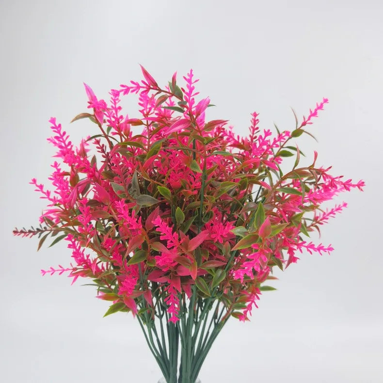 Fuschia