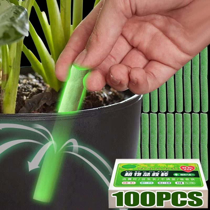 100x Barres Nutritives pour Plantes à Libération Lente