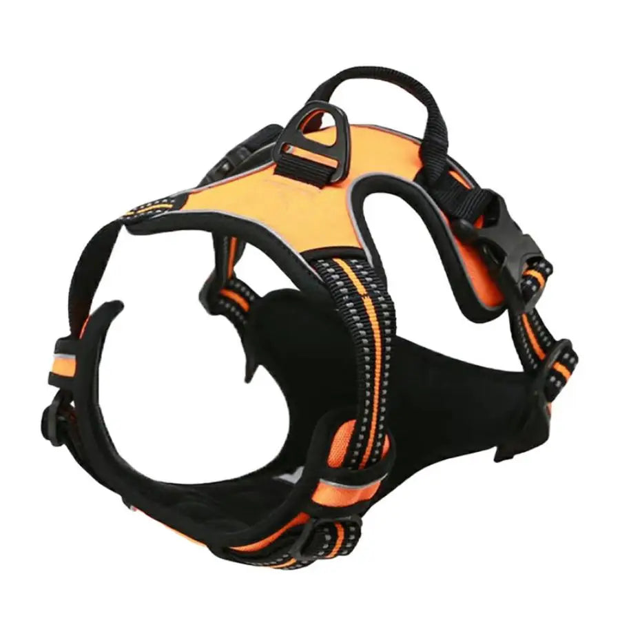 Orange / XL,Orange / L,Orange / M,Orange / S