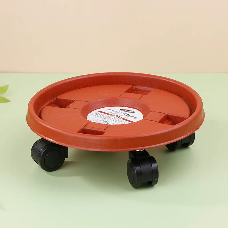 22cm