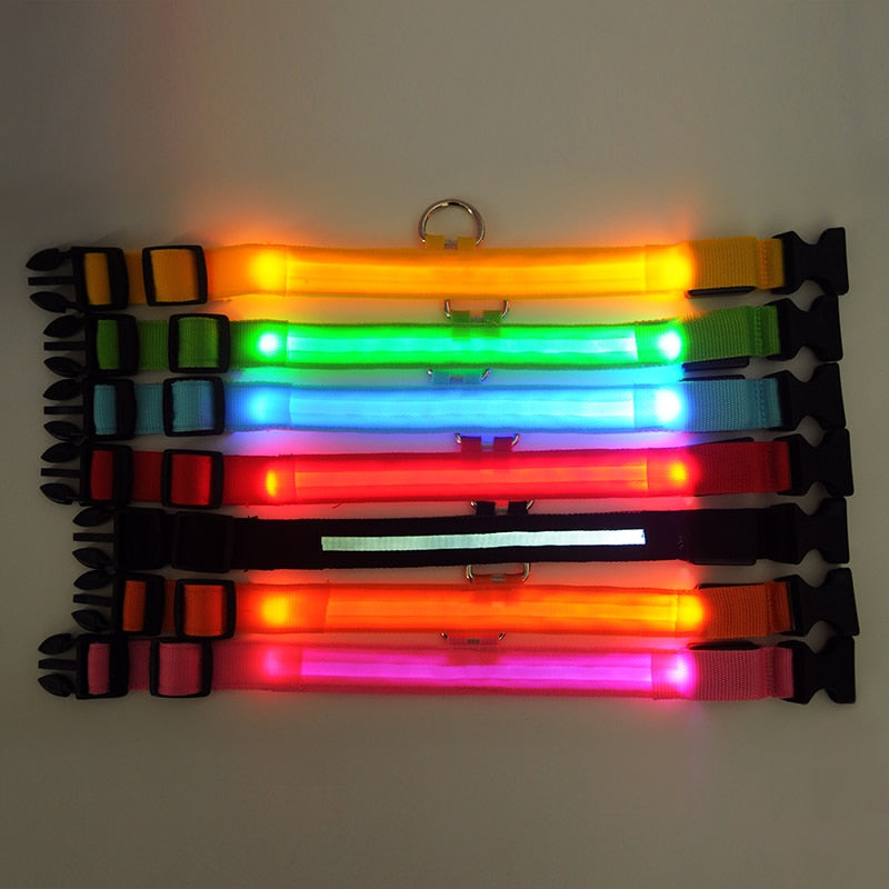 Collier LED pour chien