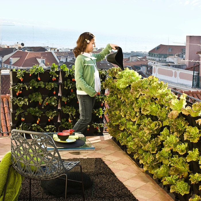 Sacs de plantation murale - Murs et balcons