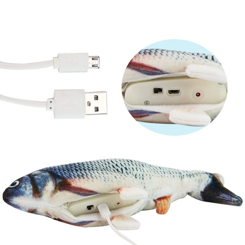 Poisson fou