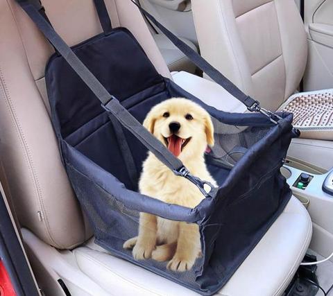 Siège auto pour chien