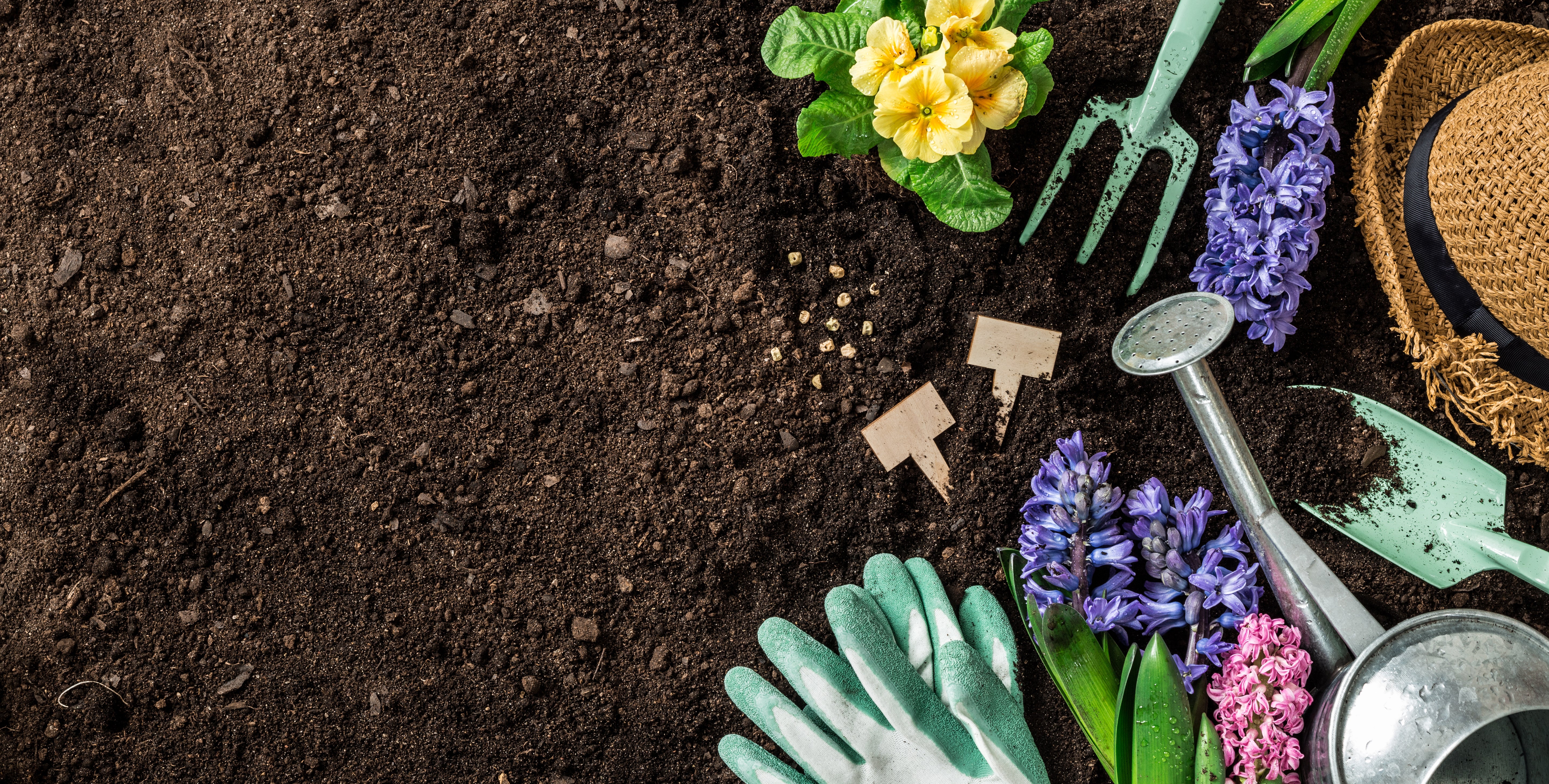 Les outils incontournables pour un jardin parfait : Le guide ultime !