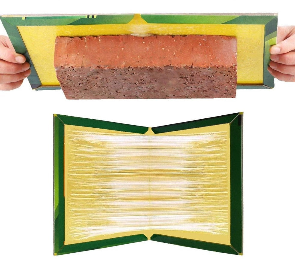 Lot de 10 Pièges à Colle Anti Rongeurs
