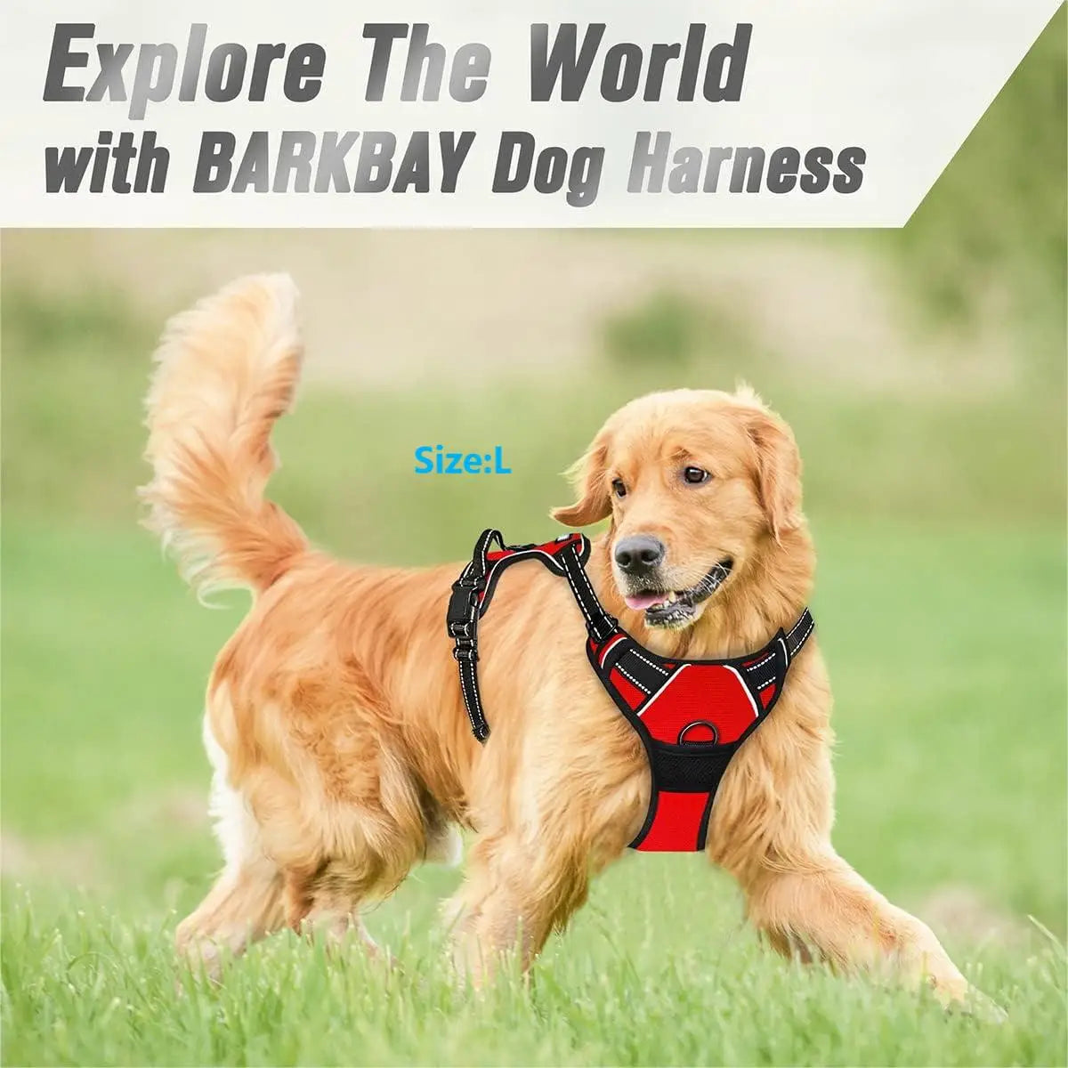 Harnais pour chiens réfléchissant et respirant avec poignée
