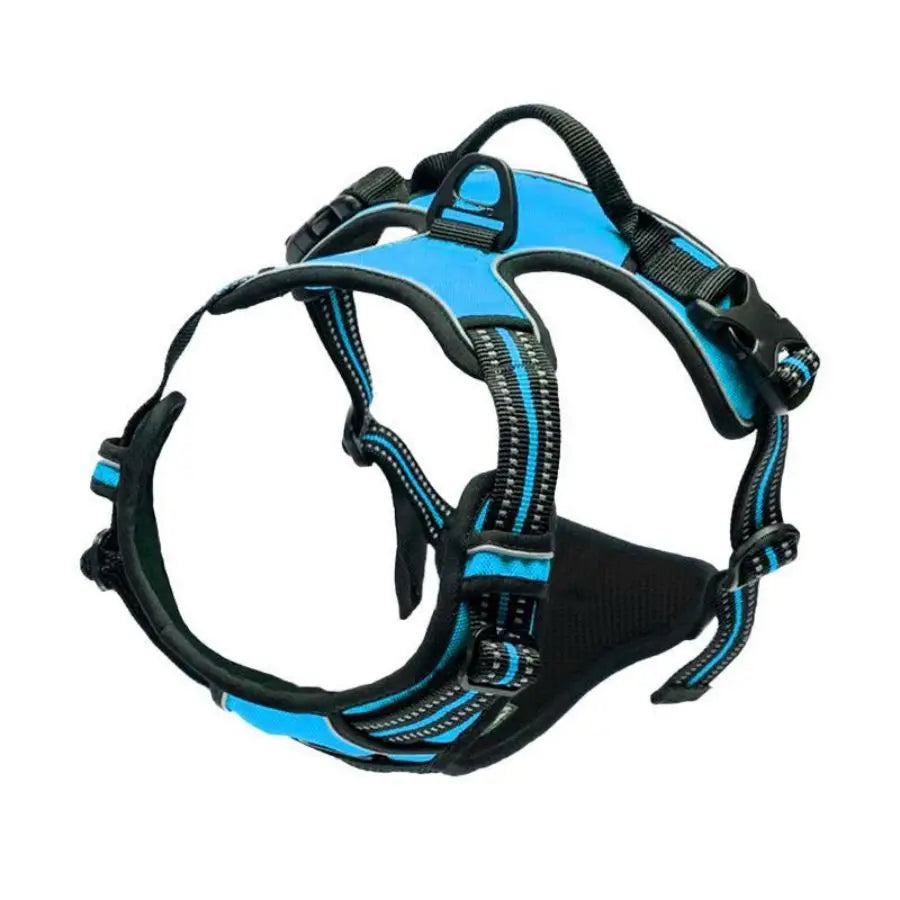 Bleu / S,Bleu / XL,Bleu / L,Bleu / M