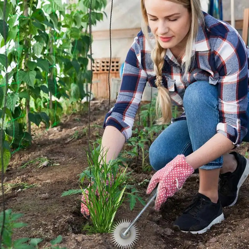 Outil de désherbage et extracteur de mauvaises herbes