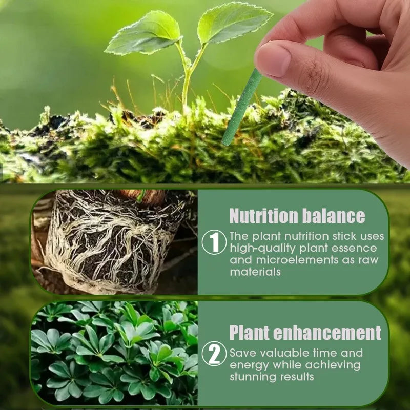 100x Barres Nutritives pour Plantes à Libération Lente