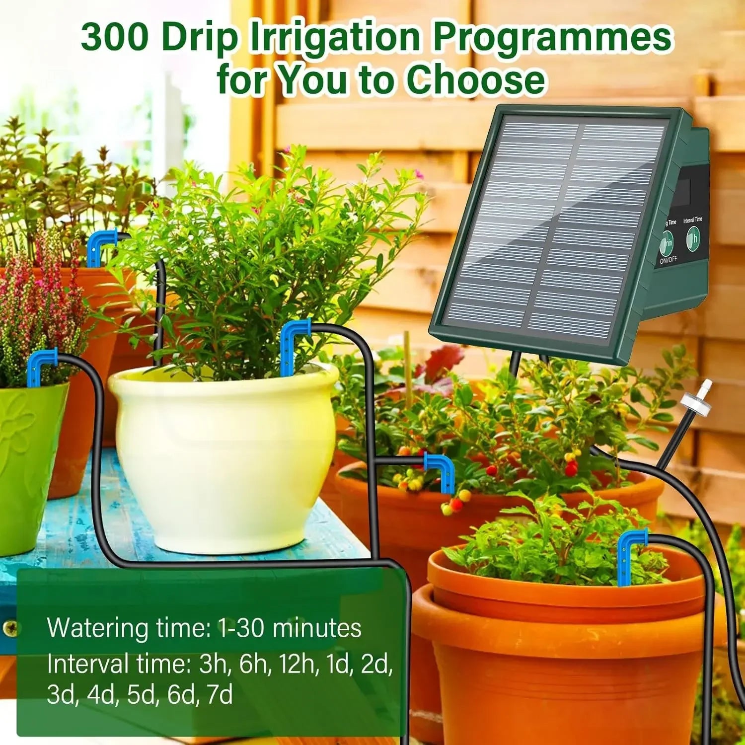 Système d’Irrigation Goutte-à-Goutte Jardin & Balcon – Énergie Solaire
