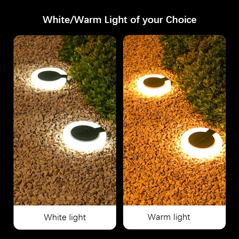 4x Spots Solaires avec Ring Light Ajustable