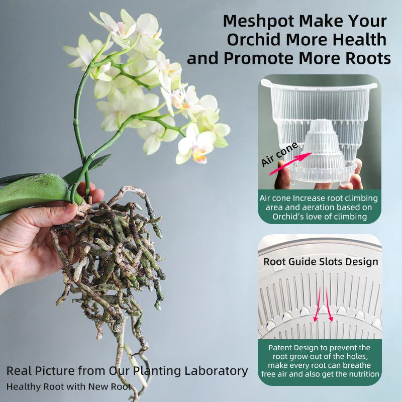 Double Pot Irrigateur pour Orchidée