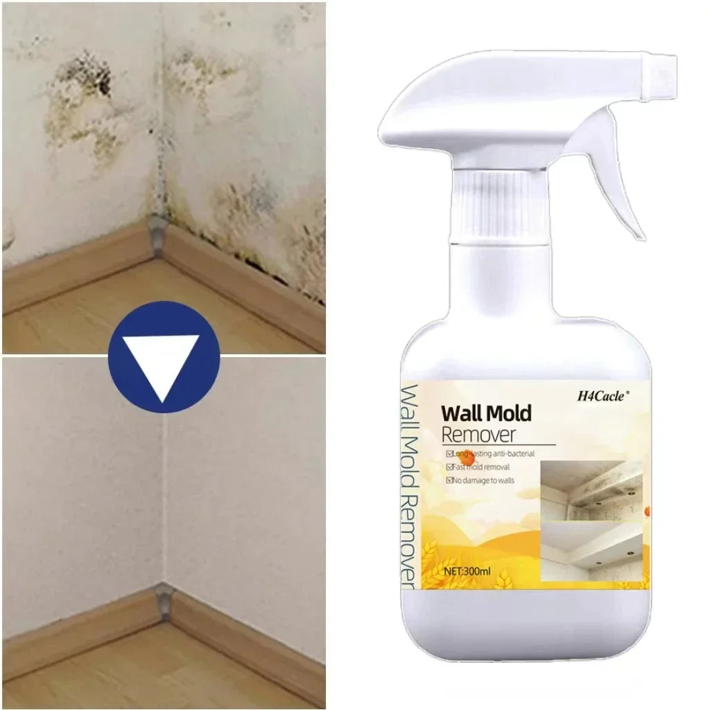 Spray Dissolvant Anti-Moisissure - Prévention des Champigons