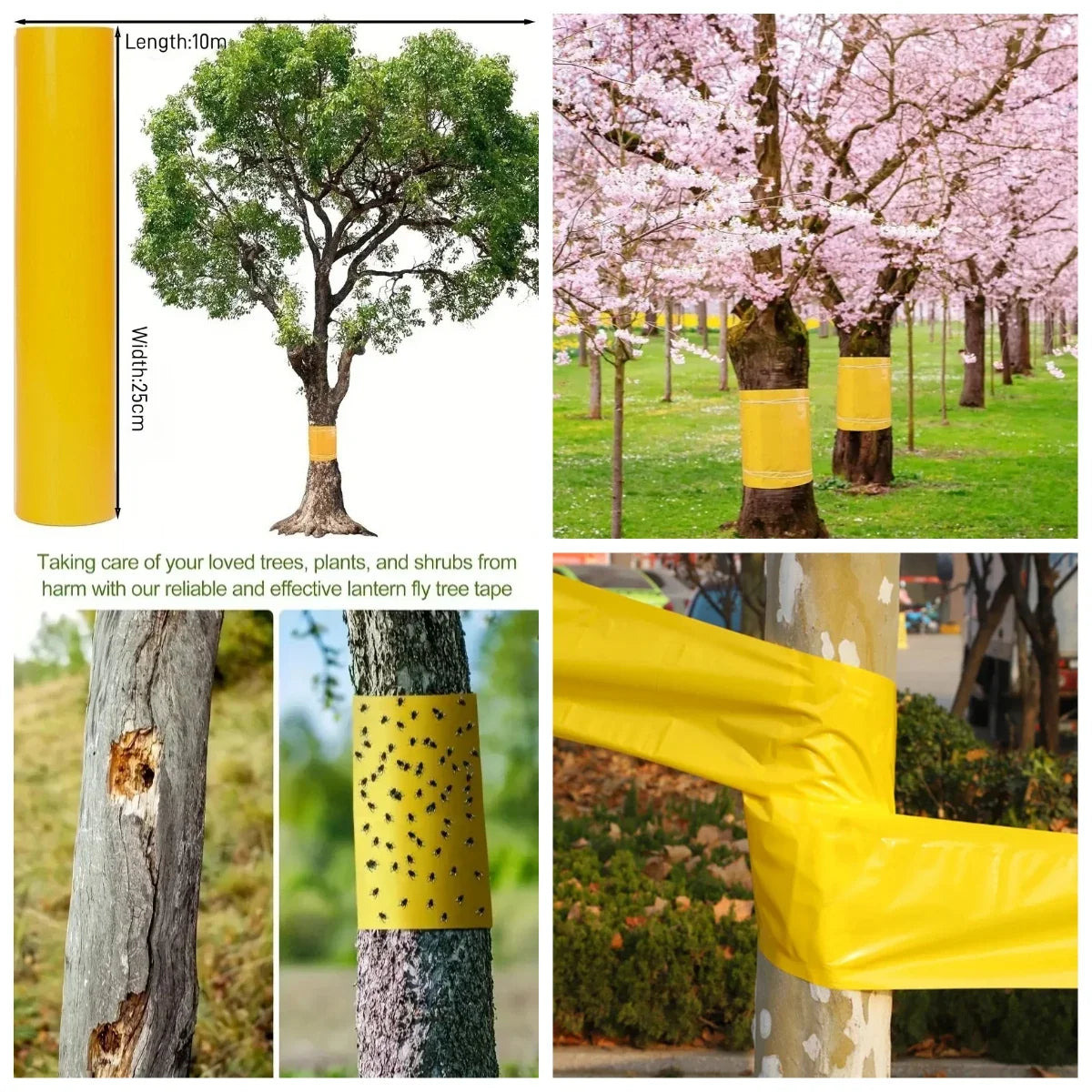 Ruban Anti-Insectes Auto-adhésif pour Arbres