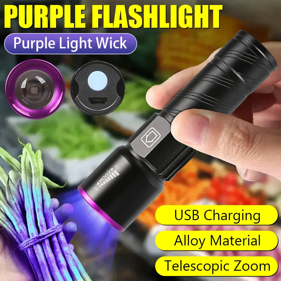 Lampe Torche UV Rechargeable 3 Modes & USB