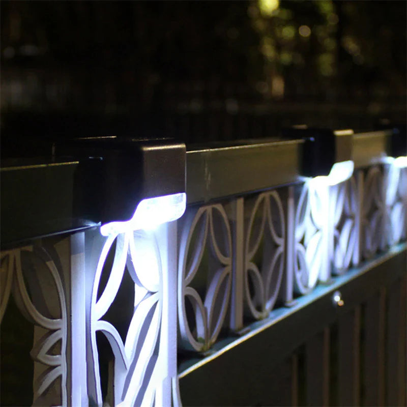 Lumière Blanche / 4Pcs