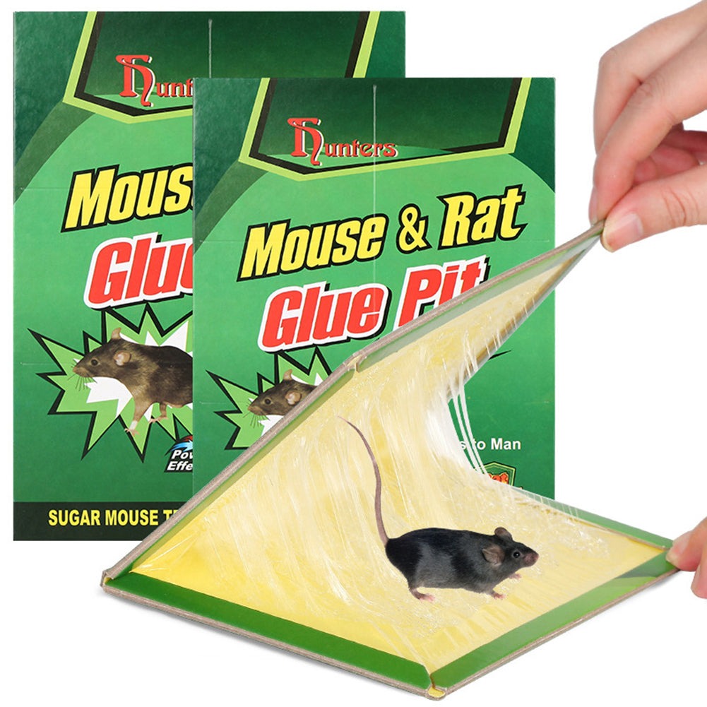 Lot de 10 Pièges à Colle Anti Rongeurs