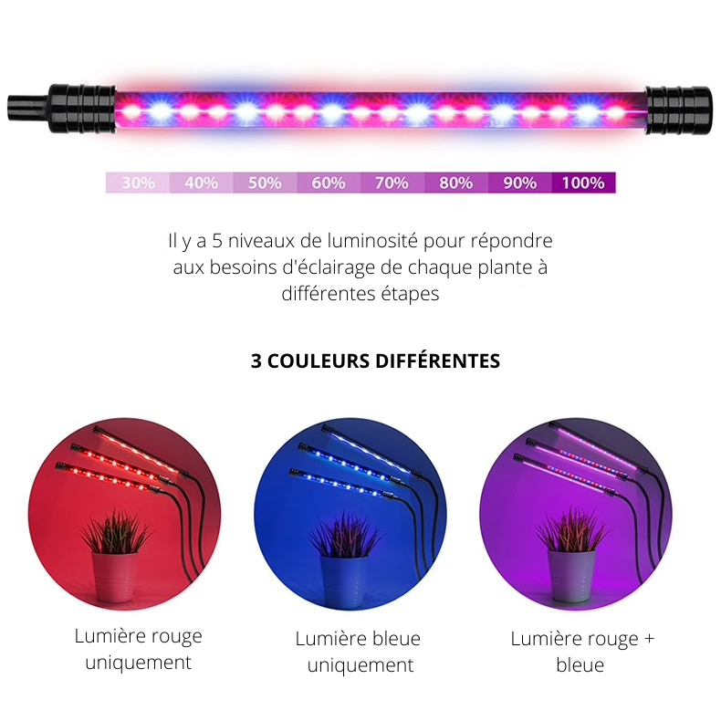 Lampe Horticole à LED 360°