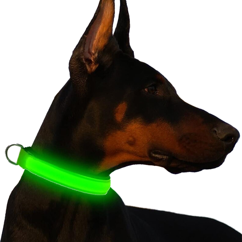 Collier LED pour chien