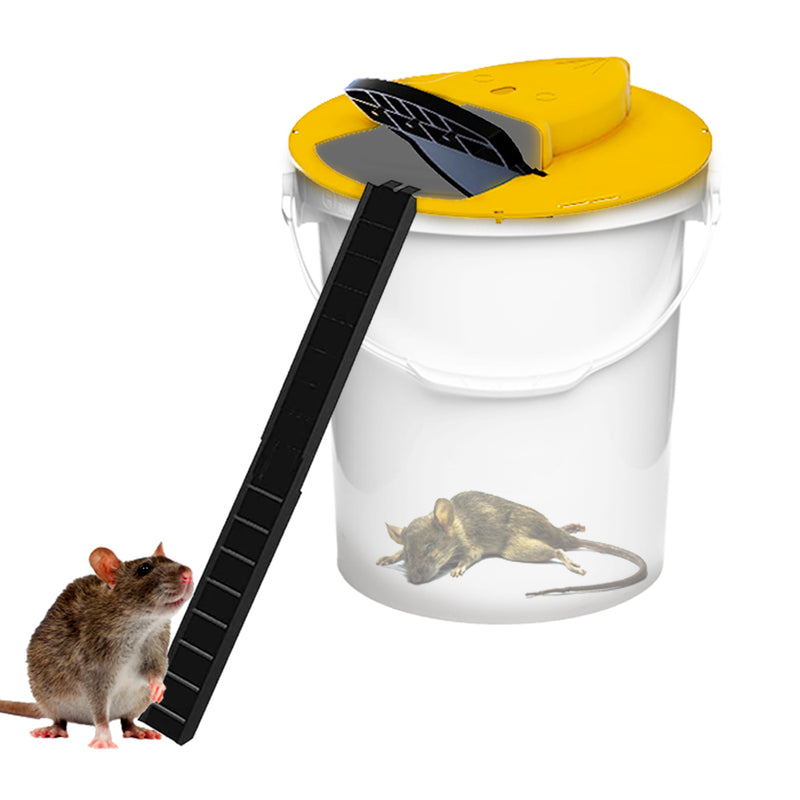 Pièges à rat autour des containers à poubelle – Le Petit Journal